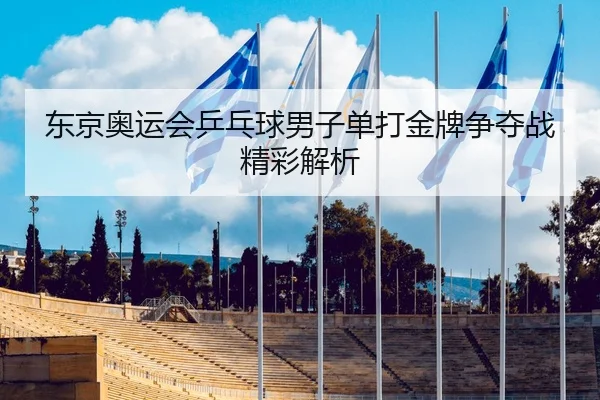 东京奥运会乒乓球男子单打金牌争夺战精彩解析